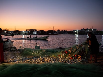 Pescadores de Celestún (Yucatán) revisan sus redes durante el inicio de su jornada laboral, el 4 de abril de este año.