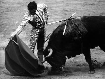 Paco Camino, en una actuación del año 1975.