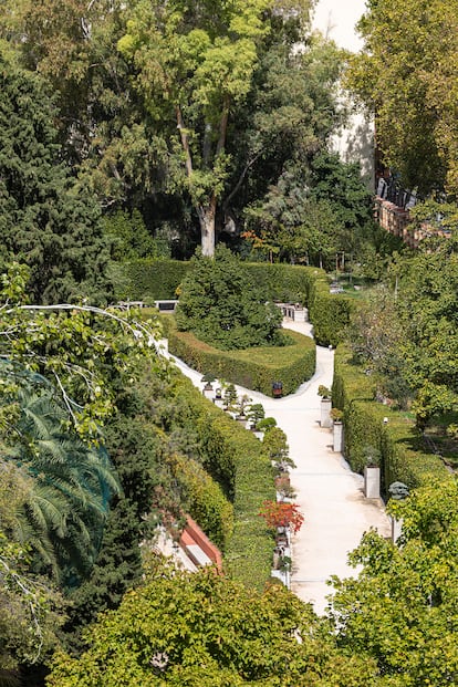 Una parte de la terraza de los bonsáis del Real Jardín Botánico-CSIC.