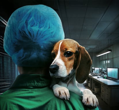 Documental Infiltrada en el búnker de Prime Video