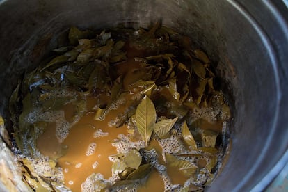 Un caldero con el preparado de ayahuasca, en Ceu do Mapia (Brasil).