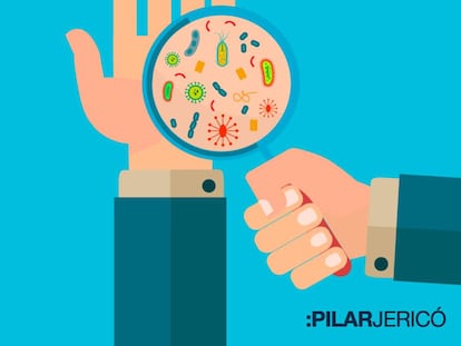 ¿Por qué las bacterias de nuestro organismo también necesitan una dieta rica y saludable?