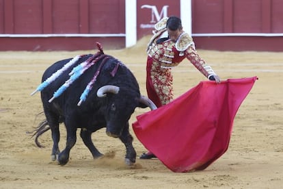 El diestro Jos&eacute; Mar&iacute;a Manzanares durante su primer toro, en La Malagueta. 
 