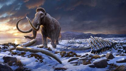 Recreación de un mamut.