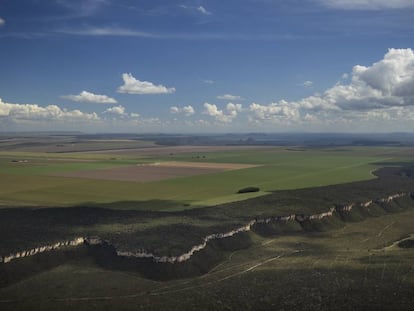 Una zona deforestada para cultivos en el Cerrado de Brasil junto otra que conserva la vegetación este mayo.