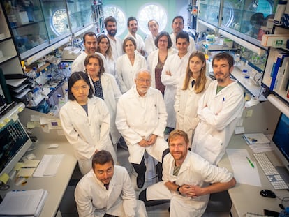 Luis Enjuanes (center with grey hair) with his team at CNB.