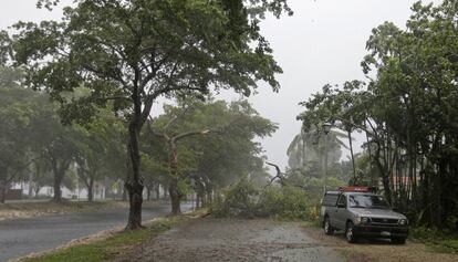 Ramas de árboles bloquean una calle de Miami Springs.