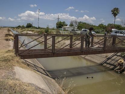 Investigadores de la UNAM toman muestra en un r&iacute;o en Sinaloa. 