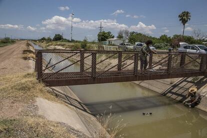 Investigadores de la UNAM toman muestra en un r&iacute;o en Sinaloa. 