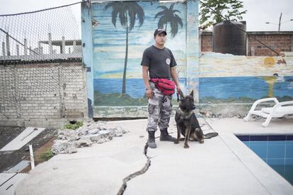 Marco de la Cruz. Policía del Centro de Adiestramiento Canino. Llegó tras el terremoto y sintió una nostalgia tremenda al ver la devastación de Pedernales. "Me siento triste, pero contento de poder ayudar a mis compatriotas y a los familiares de las víctimas a encontrar aunque sea el cuerpo de su ser querido", dice.