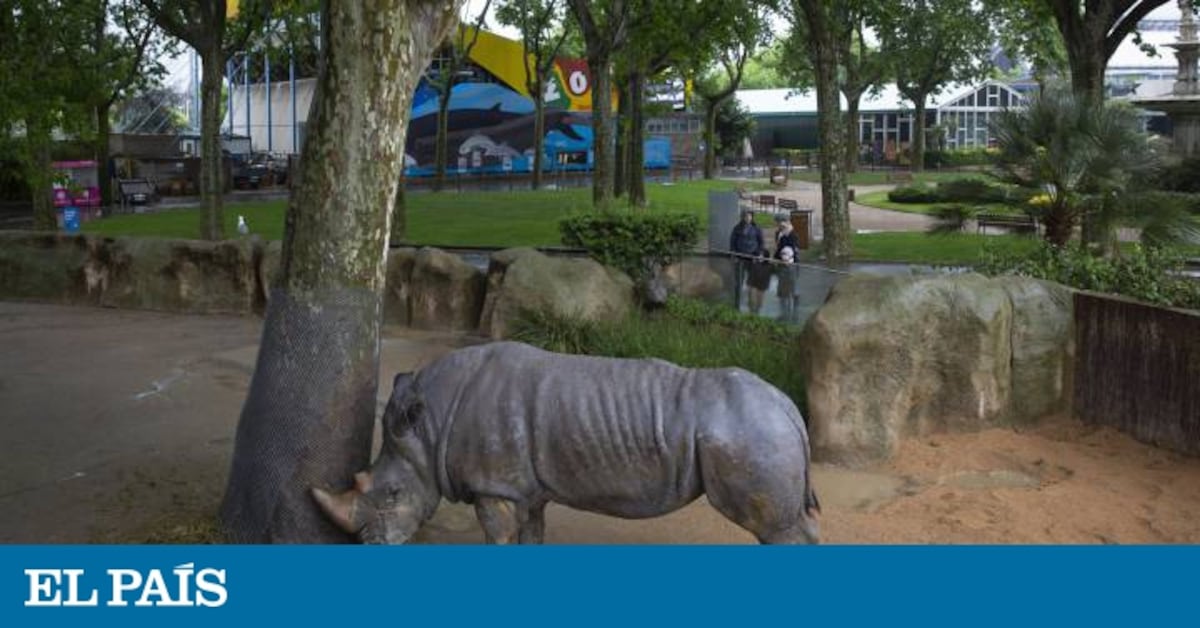 Barcelona’s push for an “animalist” zoo signals end of a 127-year era