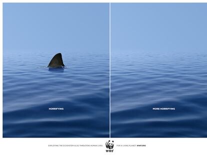 WWF