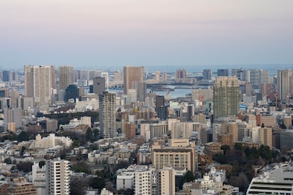 Vista de Tokio.