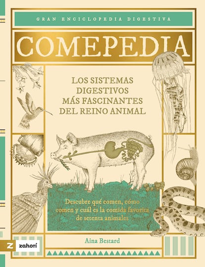 Portada de 'Comepedia. Los sitemas digestivos más fascinantes del reino animal', de Víctor Sabaté. Ilustraciones Aina Bestard. Ed. Zahorí Books