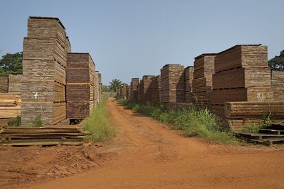 De los 8.000 habitantes de Ngombe, unos 900 trabajan en el aserradero. Otros trabajan en negocios secundarios, como los proveedores de la industria alimentaria.