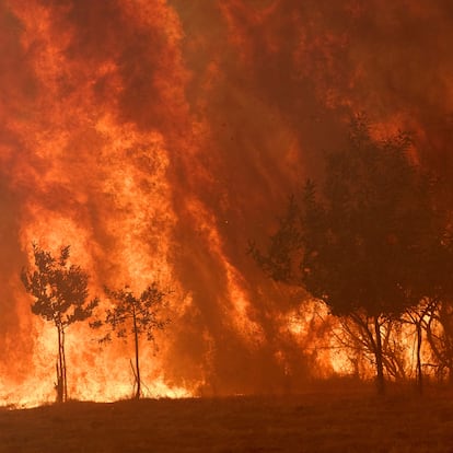 A wildfire burns out of control in a forest near Rebordondo village, near Ourense, in northwestern Spain, Monday, Aug. 18, 2025.(AP Photo/Pablo Garcia)