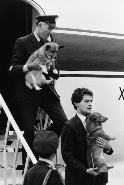 Dos de los perros de la reina Isabel II son bajados de un avión por el piloto y un guardaespaldas, en una foto de archivo de 1983.
