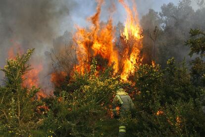 El fuego ha arrasado hasta el momento 750 hectáreas del parque natural de As Fragas do Eume, 500 de vegetación arbolada y unas 250 de monte raso