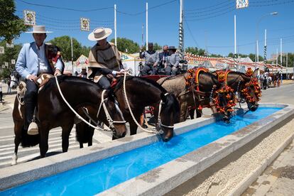 Un grupo de caballos bebe agua en el abrevadero situado en el acceso al recinto ferial de la calle Antonio Bienvenida, un lugar muy frecuentado en días de calor.
