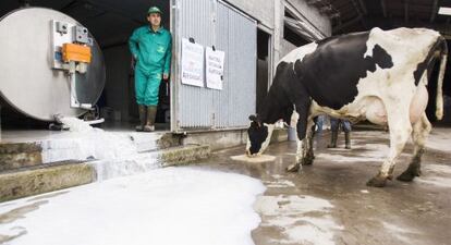 Manuel Iglesias, de la OPL, derrama un tanque de leche en su explotación de Santa Comba (A Coruña)