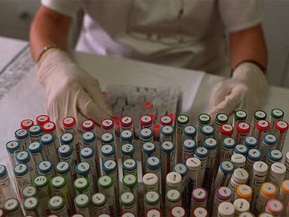 Muestras de sangre para su estudio en un laboratorio de análisis clínicos.