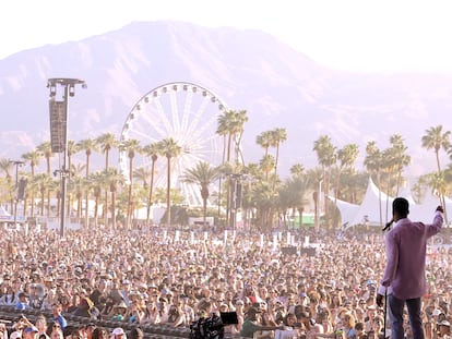 Coachella festival