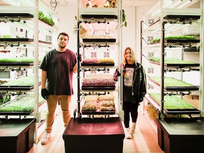 Javi Espina y Tesa Portillo, de la empresa Cantábrica en su huerto vertical urbano en Oviedo.