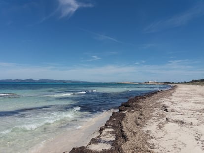 Las playas de Illetes, en Formentera, el sábado 2 de mayo.