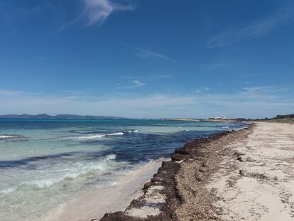 Las playas de Illetes, en Formentera, el sábado 2 de mayo.