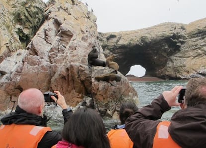 Además de leones marinos, en las Islas Ballestas se pueden ver más de 160 especies de aves.