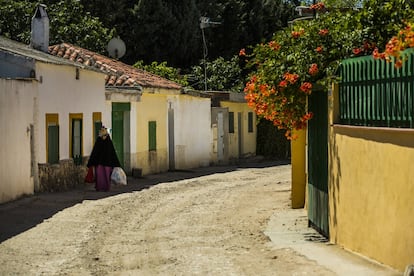 Una señora vuelve de la compra en el sector 5.