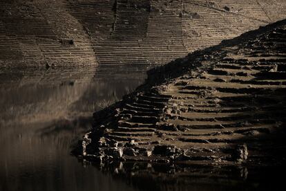 Laderas —antes inundadas— de la Ribeira Sacra quedan al descubierto.