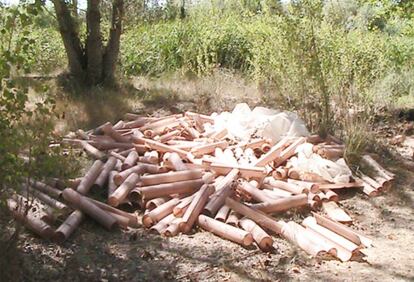 Planteles de árboles abandonados en el parque