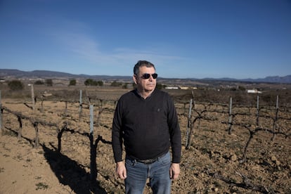 Joan Pons, dueño de la bodega Miquel Pons en La Granada del Penedés (Barceona).
