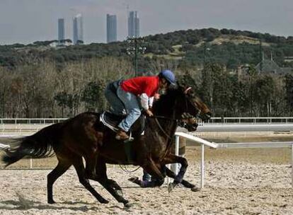 Dos jinetes cabalgan en el hipódromo de la Zarzuela.