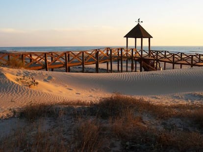 Dunas en la playa de Cortadura, en C&aacute;diz. 