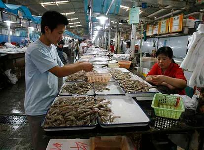 Pescadería en un mercado de Pekín.