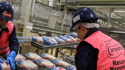 Empaquetado de jamones en la f&aacute;brica de Campofr&iacute;o (propiedad del grupo Sigma) en Burgos. 