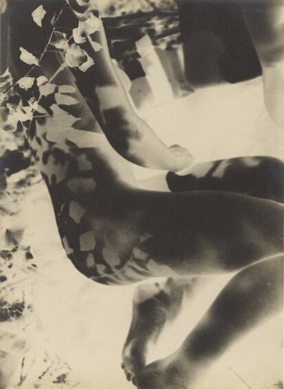 'Nude (negative)' (1927–29).
