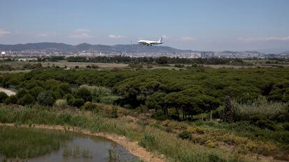 Vista de la finca La Ricarda, que linda con el aeropuerto de El Prat, este miércoles.