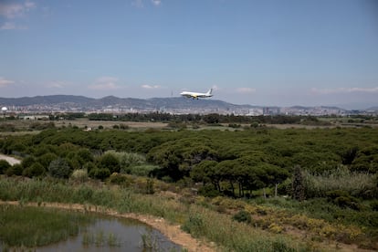 Ampliación aeropuerto El Prat