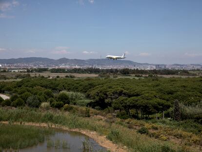 Vista de la finca La Ricarda, que linda con el aeropuerto de El Prat, este miércoles.