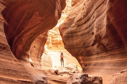 Una excursionista en el barranco de Las Vacas, en la isla de Gran Canaria.