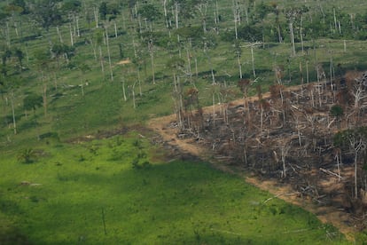 Foto aérea de um pedaço da floresta Amazônica desmatada no estado de Rondônia, em 28 de setembro.