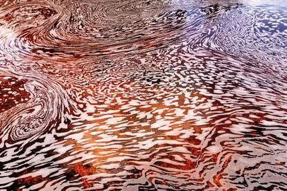 Una de las peculiaridades de la laguna de Canaima es la tonalidad rojiza de sus aguas, debida a la gran cantidad de minerales que contienen.