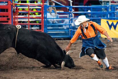 Un hombre corre delante de un toro durante un rodeo en Colorado, EE UU.