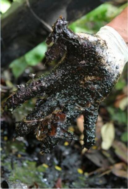 Ecosistemas contaminados por la acción de Texaco en Ecuador.