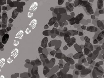 Padres e hijos: la Transición
interminable