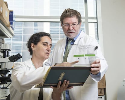 Los neur&oacute;logos Candelaria G&oacute;mez-Manzano y Juan Fueyo, en el Centro de C&aacute;ncer MD Anderson (EE UU).