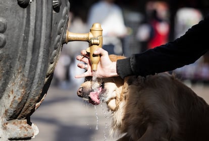 La fuente de canaletas en las Ramblas.